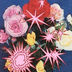 Meet your Posher, Daisy